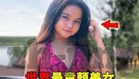 91麻豆国产高清-91麻豆国产高清，清晰观察生活，感受国产魅力