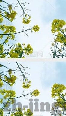 草莓视频成人版-草莓视频成人版，网络时代下的内容边界与伦理考量