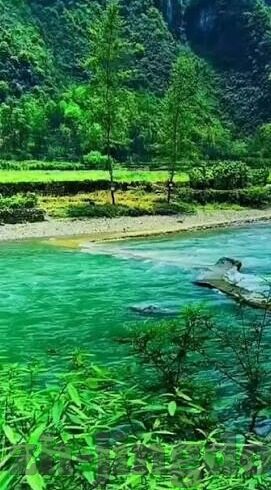 麻豆传媒免费看视频-颠覆传统界限，解锁麻豆传媒视频的遐想空间
