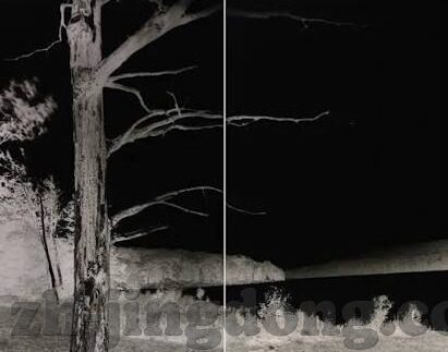 中文字幕mv在线观看-解锁视听盛宴，中文字幕MV在线观看的魅力探索